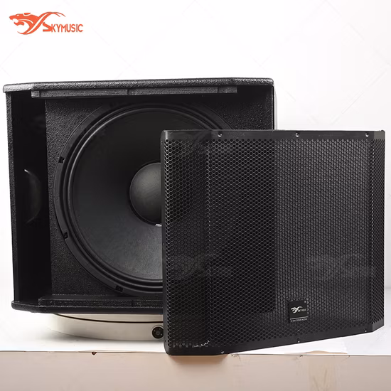 Portable PA Audio System