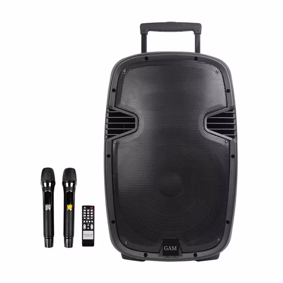High End Private Label Mic Studio Monitor Powered Live 15 Inch Wireless Trolley Audio Loud Speaker