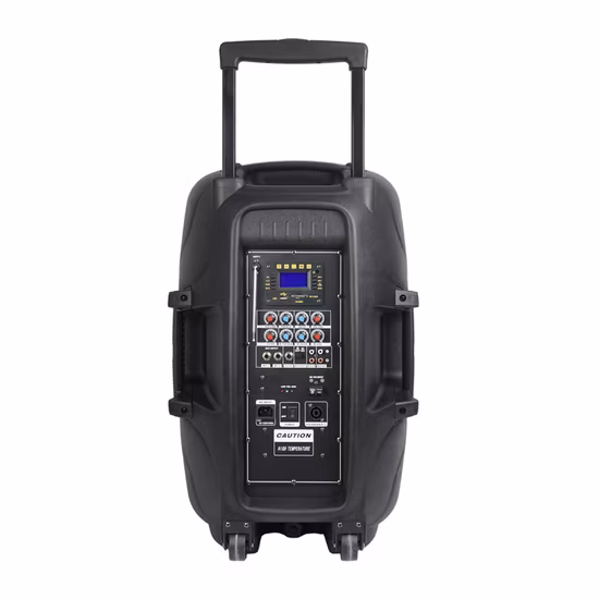 High End Private Label Mic Studio Monitor Powered Live 15 Inch Wireless Trolley Audio Loud Speaker