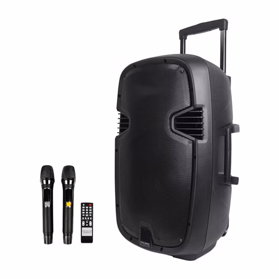 High End Private Label Mic Studio Monitor Powered Live 15 Inch Wireless Trolley Audio Loud Speaker