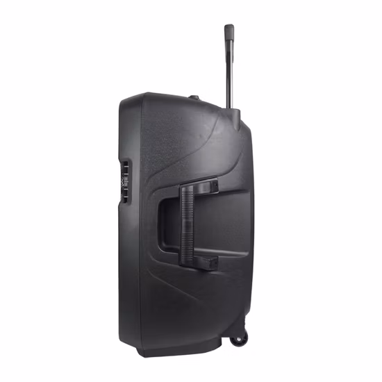 High End Private Label Mic Studio Monitor Powered Live 15 Inch Wireless Trolley Audio Loud Speaker