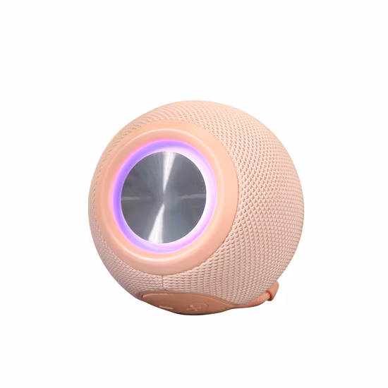 Mini Portable Outdoor Karaoke Wireless Cheap DJ Mic Bluetooth Pocket Size Speaker